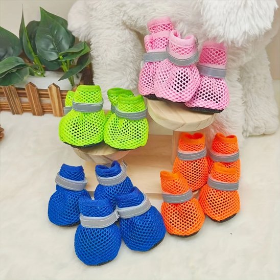Chaussures chienâ