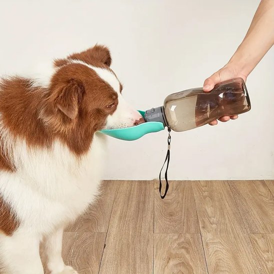 Gourde pour chienâ