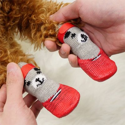Chaussette pour chien