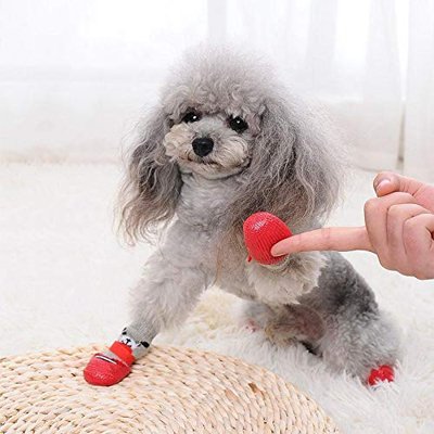 Chaussette pour chien