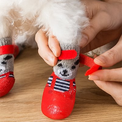 Chaussette pour chien