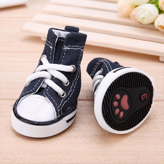 Chaussure Chien