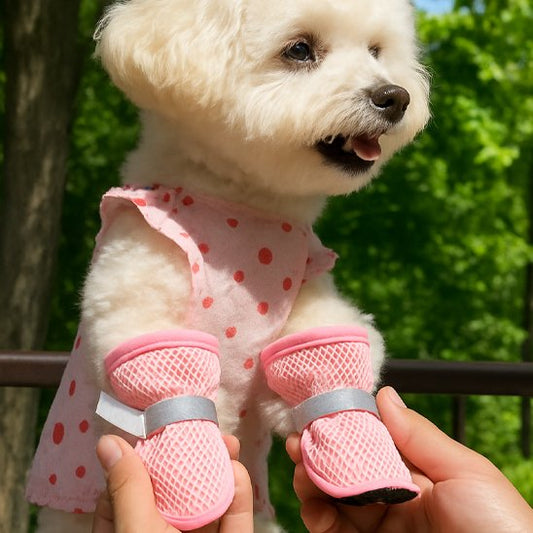 Chaussures chien​