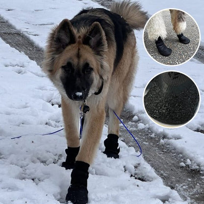Chaussures chien 