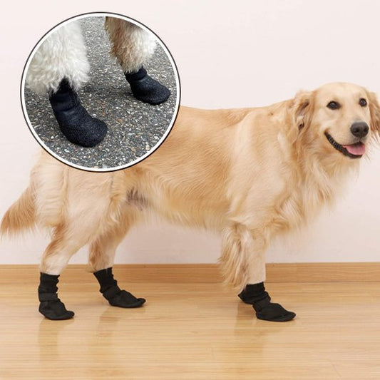 Chaussures chien 