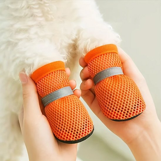 Chaussures chien​