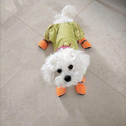 Chaussures chien​