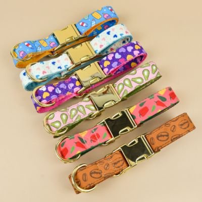 Collier chiot