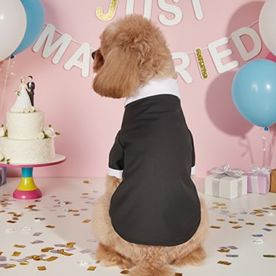 Déguisement Chien