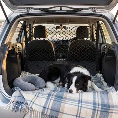 Filet chien voiture