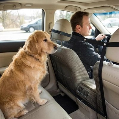 Filet pour chien pour voiture