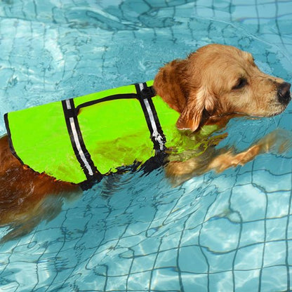 Gilet de sauvetage Chien