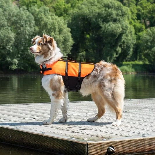 Gilet de sauvetage Chien