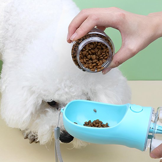 Gourde pour chien