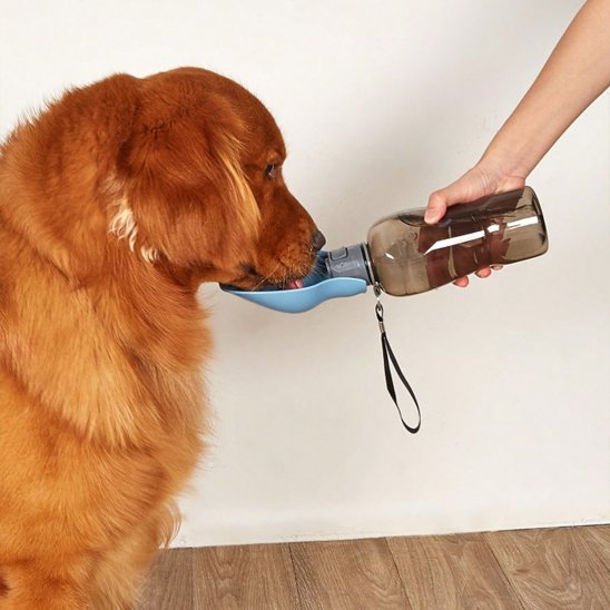 Gourde pour chien​