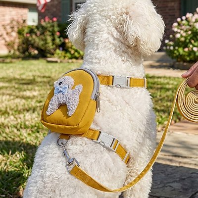 Harnais pour chien 