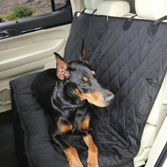 Housse voiture chien