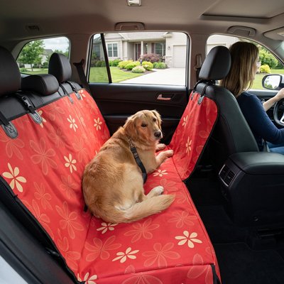 Housse voiture chien