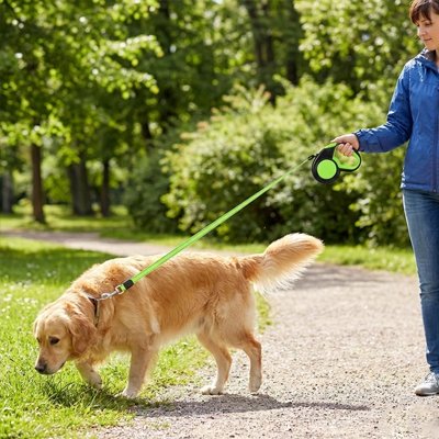 Laisse enrouleur pour chien 