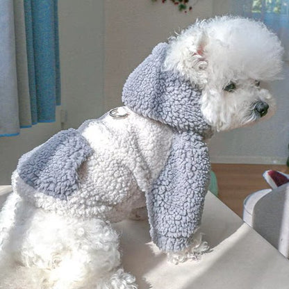 Pull chien