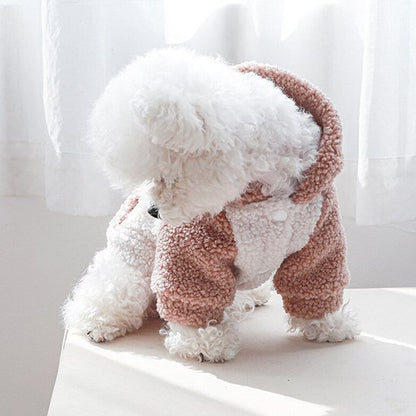Pull chien