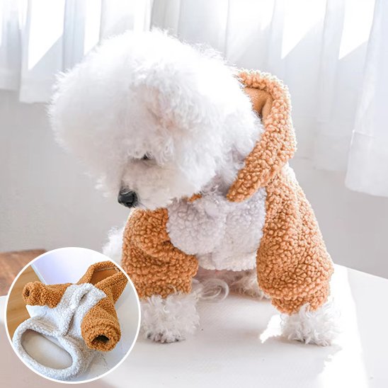 Pull chien