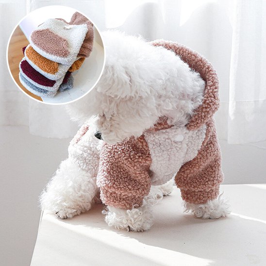 Pull chien