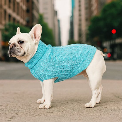 Pull pour chien